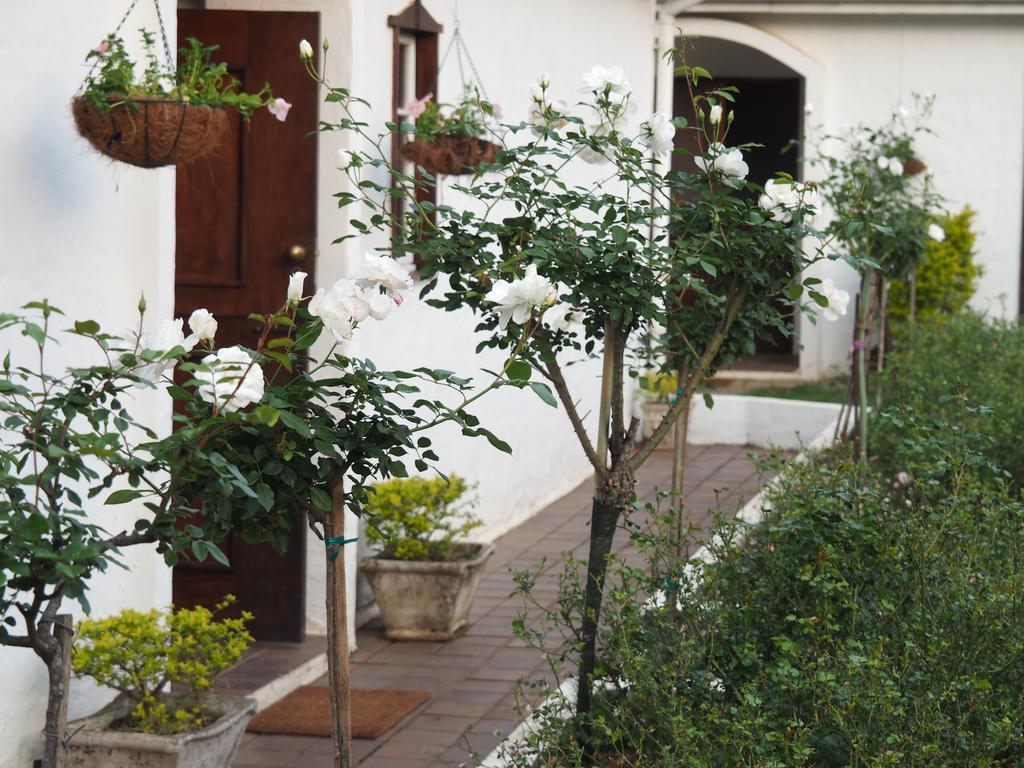 Caladdi Bed And Breakfast 다반 외부 사진